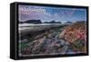 Washington Coast - Tidepool-Lantern Press-Framed Stretched Canvas