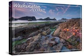 Washington Coast - Tidepool-Lantern Press-Stretched Canvas