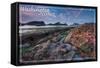 Washington Coast - Tidepool-Lantern Press-Framed Stretched Canvas