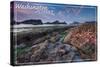 Washington Coast - Tidepool-Lantern Press-Stretched Canvas