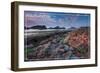 Washington Coast - Tidepool-Lantern Press-Framed Art Print