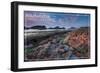 Washington Coast - Tidepool-Lantern Press-Framed Art Print