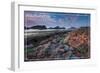 Washington Coast - Tidepool-Lantern Press-Framed Art Print