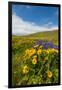 Washington, Columbia Hills SP. Spring Wildflowers at Columbia Hills SP-Richard Duval-Framed Photographic Print