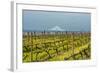 Washington, Columbia River Gorge. Rows of Barbera Grapes with Mt. Hood in Background-Richard Duval-Framed Photographic Print