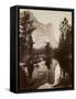 Washington Column, Yosemite, C.1866-Carleton Emmons Watkins-Framed Stretched Canvas