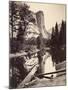 Washington Column, Yosemite National Park, Usa, 1872-Carleton Emmons Watkins-Mounted Photographic Print