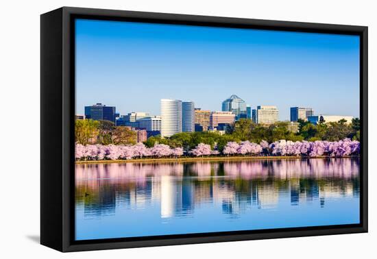 Washington, D.C. at the Tidal Basin during Cherry Blossom Season with the Rosslyn Business Distict-SeanPavonePhoto-Framed Stretched Canvas
