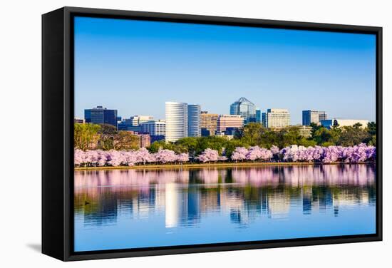 Washington, D.C. at the Tidal Basin during Cherry Blossom Season with the Rosslyn Business Distict-SeanPavonePhoto-Framed Stretched Canvas