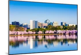 Washington, D.C. at the Tidal Basin during Cherry Blossom Season with the Rosslyn Business Distict-SeanPavonePhoto-Mounted Photographic Print