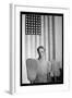 Washington D.C. Government Chairwoman-Gordon Parks-Framed Art Print