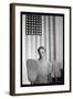 Washington D.C. Government Chairwoman-Gordon Parks-Framed Art Print