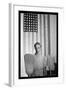 Washington D.C. Government Chairwoman-Gordon Parks-Framed Art Print