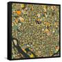 Washington D.C. Map-Jazzberry Blue-Framed Stretched Canvas