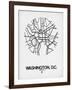 Washington, D.C. Street Map White-NaxArt-Framed Art Print