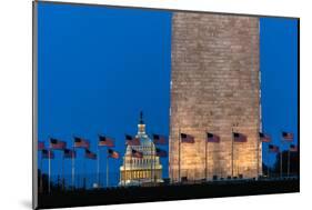 WASHINGTON D.C. - US Flags with cropped view of US Capitol and Washington Monument surrounded by...-null-Mounted Photographic Print