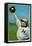 Washington D.C., Washington Nationals, Bob Ganley, Baseball Card-Lantern Press-Framed Stretched Canvas