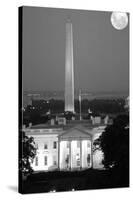 Washington D.C.-null-Stretched Canvas