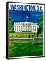 Washington D.C.-null-Framed Stretched Canvas