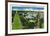 Washington, DC, Aerial View of Washington DC from the Capitol Building-Lantern Press-Framed Art Print