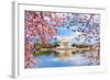 Washington, DC at the Tidal Basin and Jefferson Memorial during Spring.-SeanPavonePhoto-Framed Photographic Print