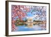 Washington, DC at the Tidal Basin and Jefferson Memorial during Spring.-SeanPavonePhoto-Framed Photographic Print