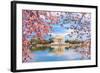 Washington, DC at the Tidal Basin and Jefferson Memorial during Spring.-SeanPavonePhoto-Framed Photographic Print