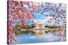 Washington, DC at the Tidal Basin and Jefferson Memorial during Spring.-SeanPavonePhoto-Stretched Canvas