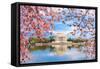 Washington, DC at the Tidal Basin and Jefferson Memorial during Spring.-SeanPavonePhoto-Framed Stretched Canvas