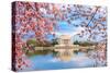 Washington, DC at the Tidal Basin and Jefferson Memorial during Spring.-SeanPavonePhoto-Stretched Canvas
