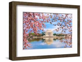 Washington, DC at the Tidal Basin and Jefferson Memorial during Spring.-SeanPavonePhoto-Framed Photographic Print