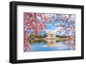 Washington, DC at the Tidal Basin and Jefferson Memorial during Spring.-SeanPavonePhoto-Framed Photographic Print