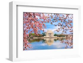 Washington, DC at the Tidal Basin and Jefferson Memorial during Spring.-SeanPavonePhoto-Framed Photographic Print