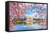 Washington, DC at the Tidal Basin and Jefferson Memorial during Spring.-SeanPavonePhoto-Framed Stretched Canvas