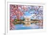 Washington, DC at the Tidal Basin and Jefferson Memorial during Spring.-SeanPavonePhoto-Framed Photographic Print