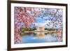 Washington, DC at the Tidal Basin and Jefferson Memorial during Spring.-SeanPavonePhoto-Framed Photographic Print