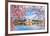 Washington, DC at the Tidal Basin and Jefferson Memorial during Spring.-SeanPavonePhoto-Framed Photographic Print