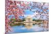 Washington, DC at the Tidal Basin and Jefferson Memorial during Spring.-SeanPavonePhoto-Mounted Photographic Print