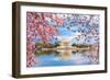 Washington, DC at the Tidal Basin and Jefferson Memorial during Spring.-SeanPavonePhoto-Framed Photographic Print