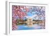 Washington, DC at the Tidal Basin and Jefferson Memorial during Spring.-SeanPavonePhoto-Framed Photographic Print