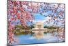 Washington, DC at the Tidal Basin and Jefferson Memorial during Spring.-SeanPavonePhoto-Mounted Photographic Print