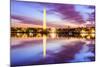 Washington DC at the Tidal Basin and Washington Monument.-SeanPavonePhoto-Mounted Photographic Print