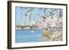 Washington DC - Cherry Blossom Festival at Tidal Basin in Spring-Orhan-Framed Photographic Print