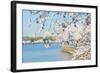 Washington DC - Cherry Blossom Festival at Tidal Basin in Spring-Orhan-Framed Photographic Print