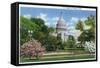 Washington DC, Exterior View of the US Capitol Building at Blossom Time-Lantern Press-Framed Stretched Canvas