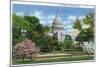 Washington DC, Exterior View of the US Capitol Building at Blossom Time-Lantern Press-Mounted Art Print