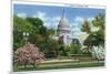 Washington DC, Exterior View of the US Capitol Building at Blossom Time-Lantern Press-Mounted Art Print