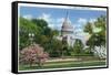 Washington DC, Exterior View of the US Capitol Building at Blossom Time-Lantern Press-Framed Stretched Canvas