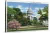 Washington DC, Exterior View of the US Capitol Building at Blossom Time-Lantern Press-Stretched Canvas