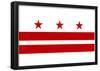 Washington DC Flag Poster Print-null-Framed Poster